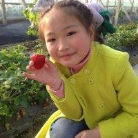 杨艳花