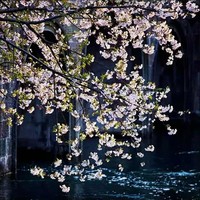孟祥斌