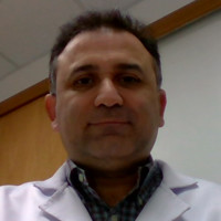 Vander Fernandes