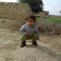 Amin Arif