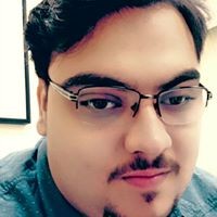 Abdulaziz fayez Hassan