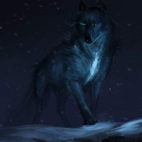 blackwolf workouts
