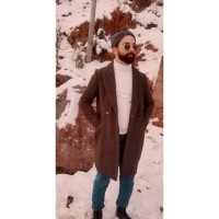 Raja Moeez