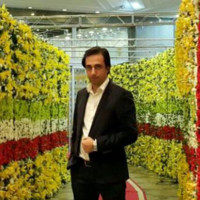 hadi shemshadi