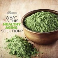 Healthymind Bodysoul