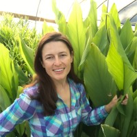 Carrie Vaughn
