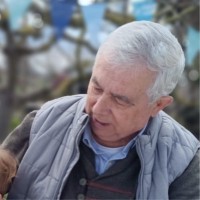 Javier Bellver Pujades