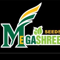 Megashree Seeds