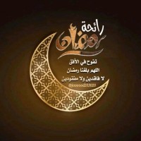 محمد المسني