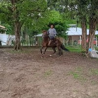 Eder Alves fernandes