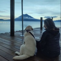 Soledad del Carmen Toro Arévalo