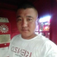 于化龙
