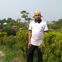 MD.  SHEIKH FARID UDDIN,CDCS,CIFE,CIB,CTP