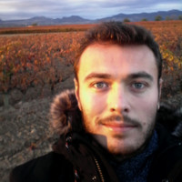 Carlos Alvar Ocete Pérez