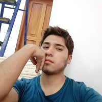 Carlos Alexander Estrada Castillo