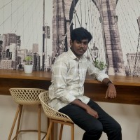 Sankara narayanan V