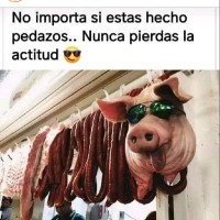 Nando Cal
