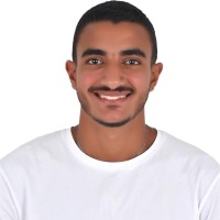 Bassel Youssef