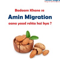 Amin Migration