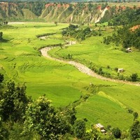 narayan shrestha