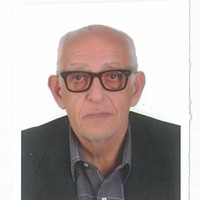 M. Hesham Marzouk