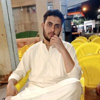 Amir Jameel