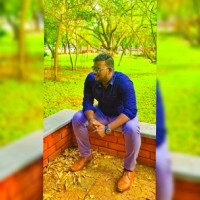 Hari Krishnan B