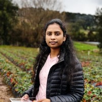 Supriya Arugula