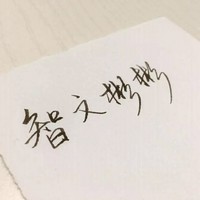 魏智文