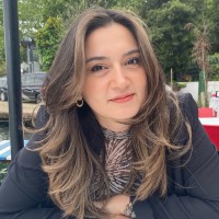 Dilber Dicle Tanışan
