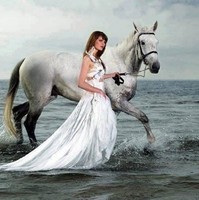 Sandy Roze