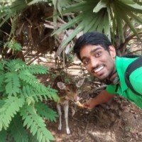 Santosh Janaki Raman