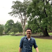 Michael Kong