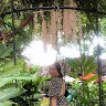 Quỳnh Nguyễn