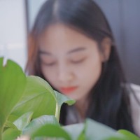 Qijuan Xiong