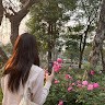 Vân Anh Trần