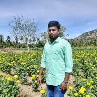 Nivas Kumar