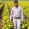 Sk Ali Shaida