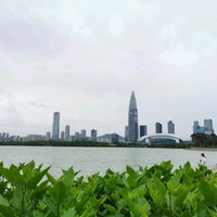 张少敏