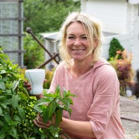 Merete Iversen