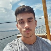 Pedro Henrique Teixeira Silva De Araújo