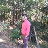 Anil Nagle