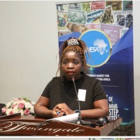 Bonakele S. Ndzinisa