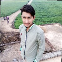 Ali Hamza