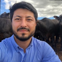 Renan Sugahara Permigiani