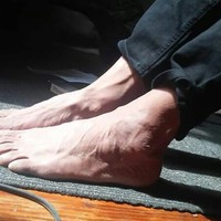 Homo Erectus