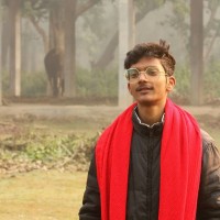 Aditya Narayan Verma