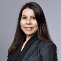 Cristina Reyna Elorza, Mba, Ssm, Pmp