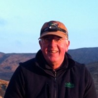 Bill Murphy