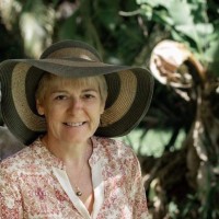 Viviane Collin